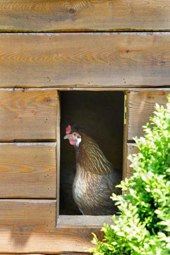 Chalet Hinterweiding-gut