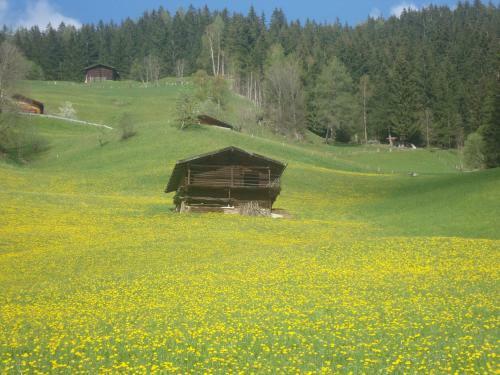 Apart Heim