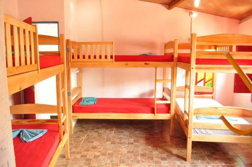 Viela Hostel