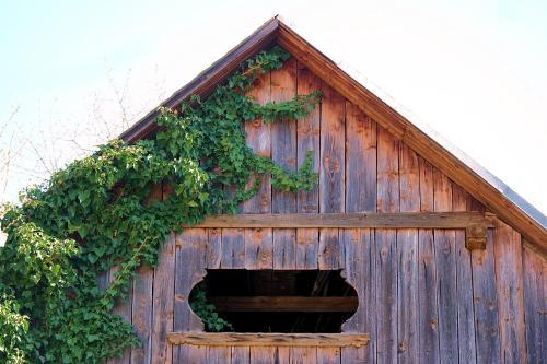 The Old School House
