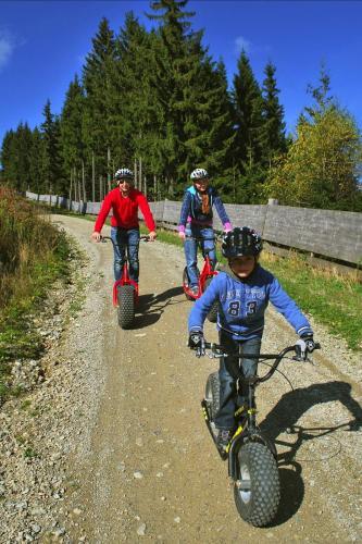 Hostal Gasthof Berghof