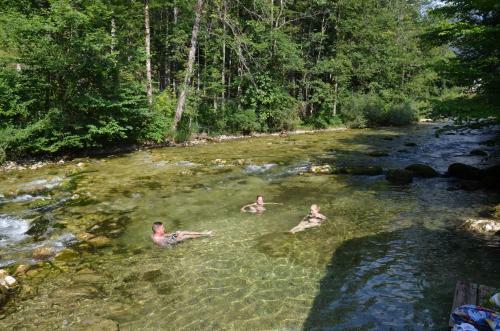 Hostal Gasthof Staud'nwirt
