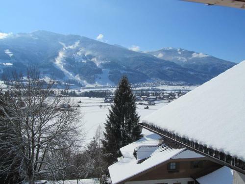 Apartamento Haus Landl