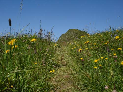 Hostal Landhaus Gletscherm�hle