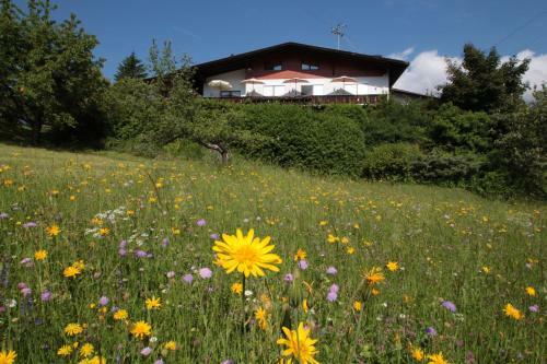 Hostal Haus Alpengl�hn