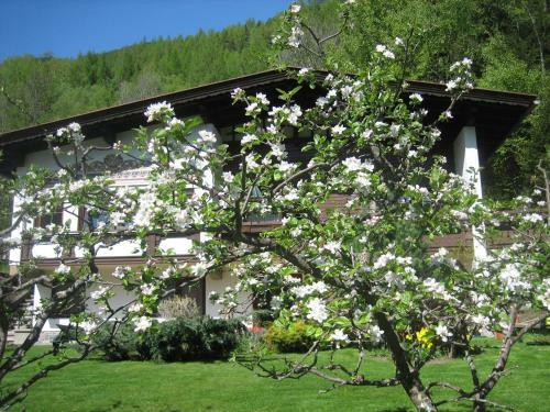 Apartamento Haus Thurnes