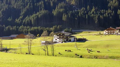 Apartamento Haus Marchegg