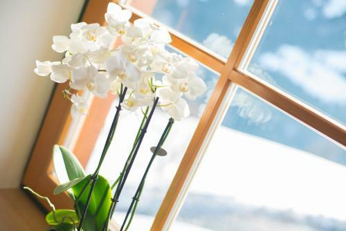 Apartamento Kendlhof