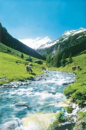 Hostal G�stehaus Waldruh