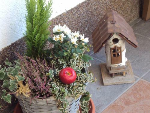 Apartamento Haus Eben