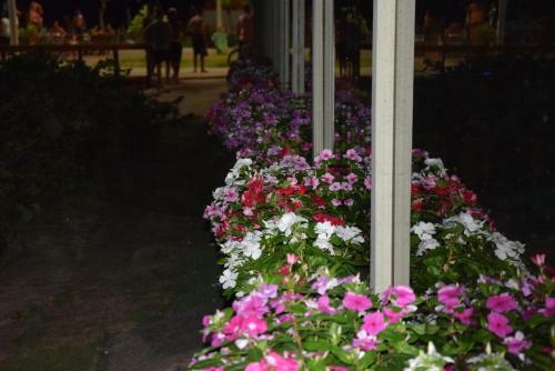 Posada Sue�os De Verano