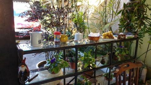 Bed & Breakfast Su�te No Jardim - Praia Dos Anjos