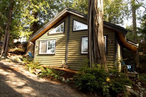 Surfs Inn Rainforest Cottages