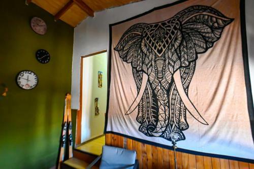 Gecko Hostel
