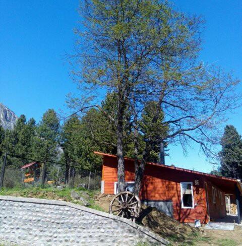Agroturismo Caba�as R�o Claro