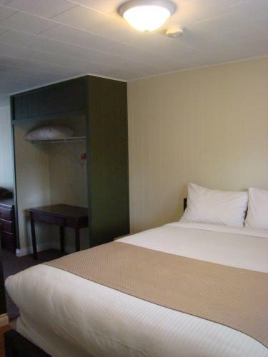 Motel Paddock Inn