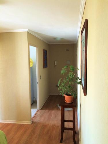 Apartamento Departamentos Amoblados Don Teodoro