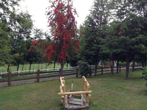 Lodge Caba�as Wualmapu