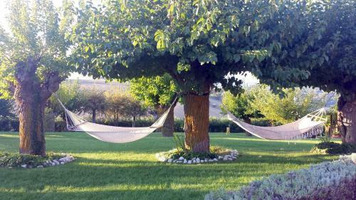 Bed & Breakfast Airone Country House