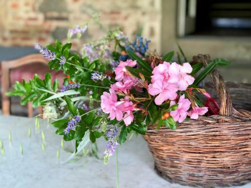 Bed & Breakfast La Lodola