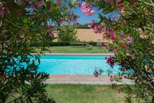 Bed & Breakfast La Lodola