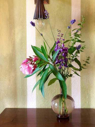 Bed & Breakfast La Lodola