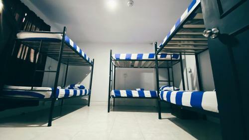 Tiger Hostel