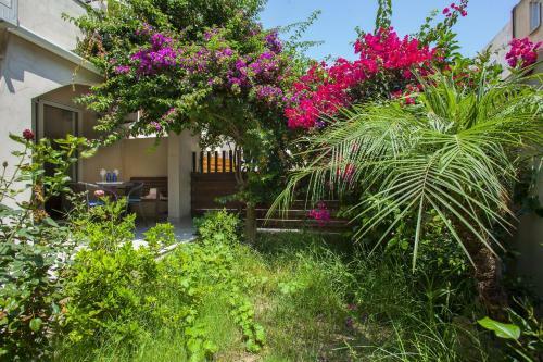Apartamento Olympus Garden Suite 2