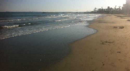 Sandy Beach House 14