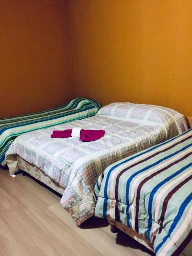 Apartamento O Negra�