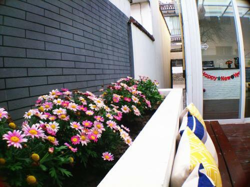 Posada Always Sunshine Inn