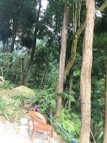 Mount Emei Feng Lin Yue Hotel