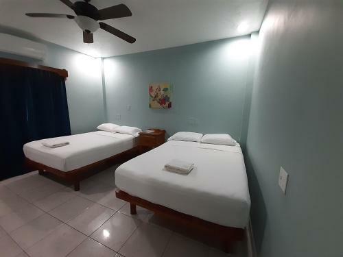 Maya Bella Downtown Hotel