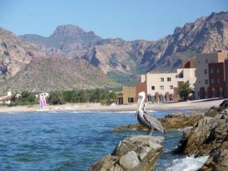 Hotel Paradiso Resort & Beach Club