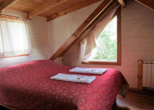 Adventure Bed And Bike