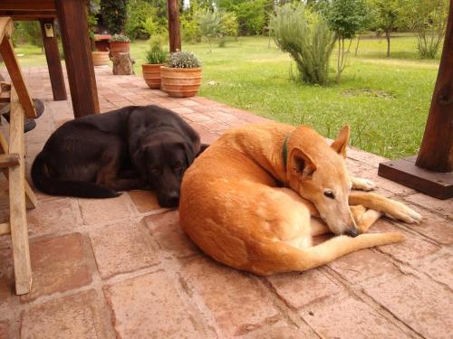 Hostal Finca La Pen�ltima-posada