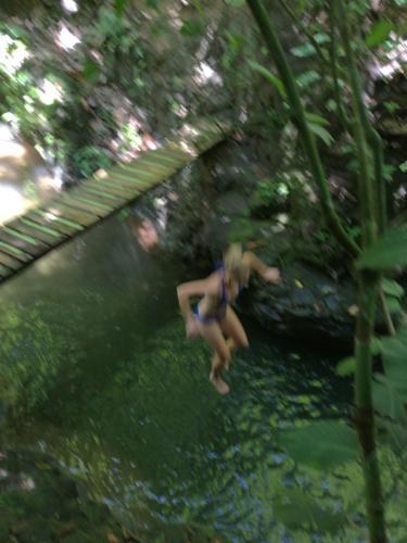 Hostal Corcovado Wild Hostel