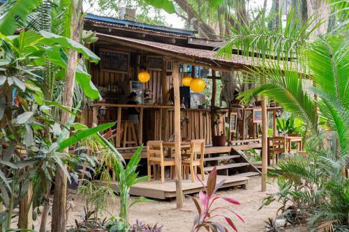 Albergue Casa Del Mar Surf Destiny