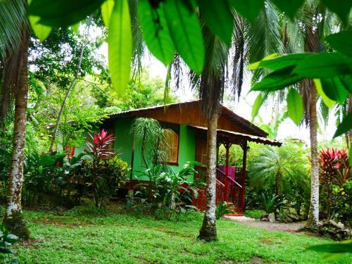 Caribbean House