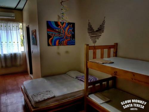 Hostal Slow Monkey Hostel