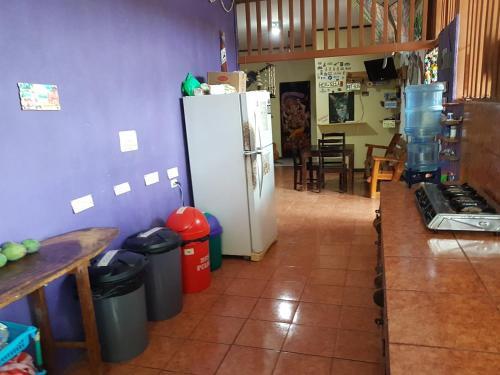 Hostal Slow Monkey Hostel