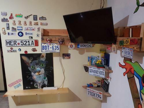 Hostal Slow Monkey Hostel
