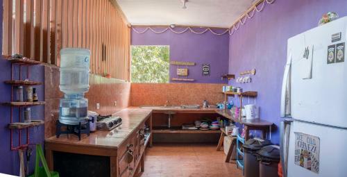 Hostal Slow Monkey Hostel