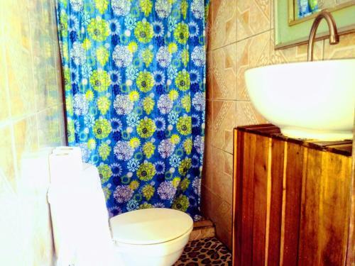 Hostal Toritos Guest Room