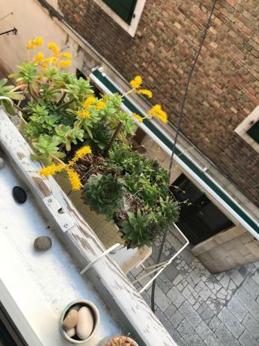 Apartamentos Dosud House Studios