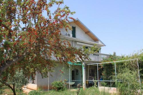 Apartment Guduce 8240a
