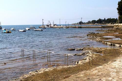 Apartments With A Parking Space Karigador (novigrad) - 2534