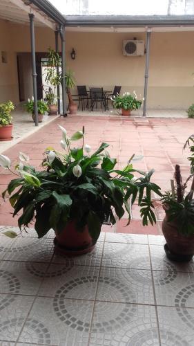 Hotel La Casona
