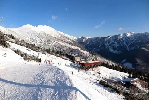Lodge Chata Kosodrevina