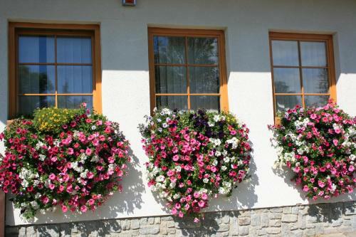 Hostal Penzion Slnecny Dom